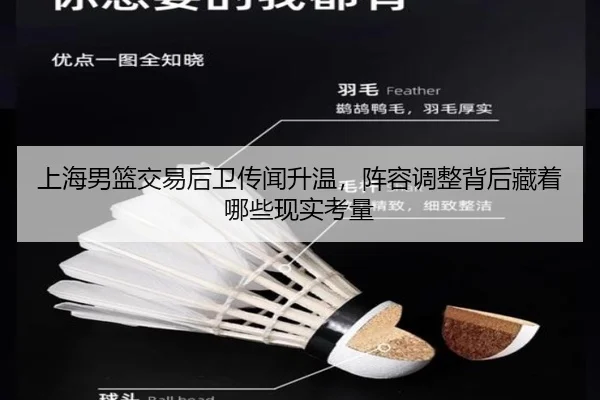 上海男篮交易后卫传闻升温，阵容调整背后藏着哪些现实考量 - yuntiyu